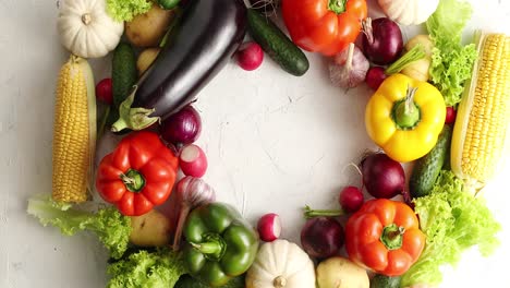 circle of colorful vegetables mix