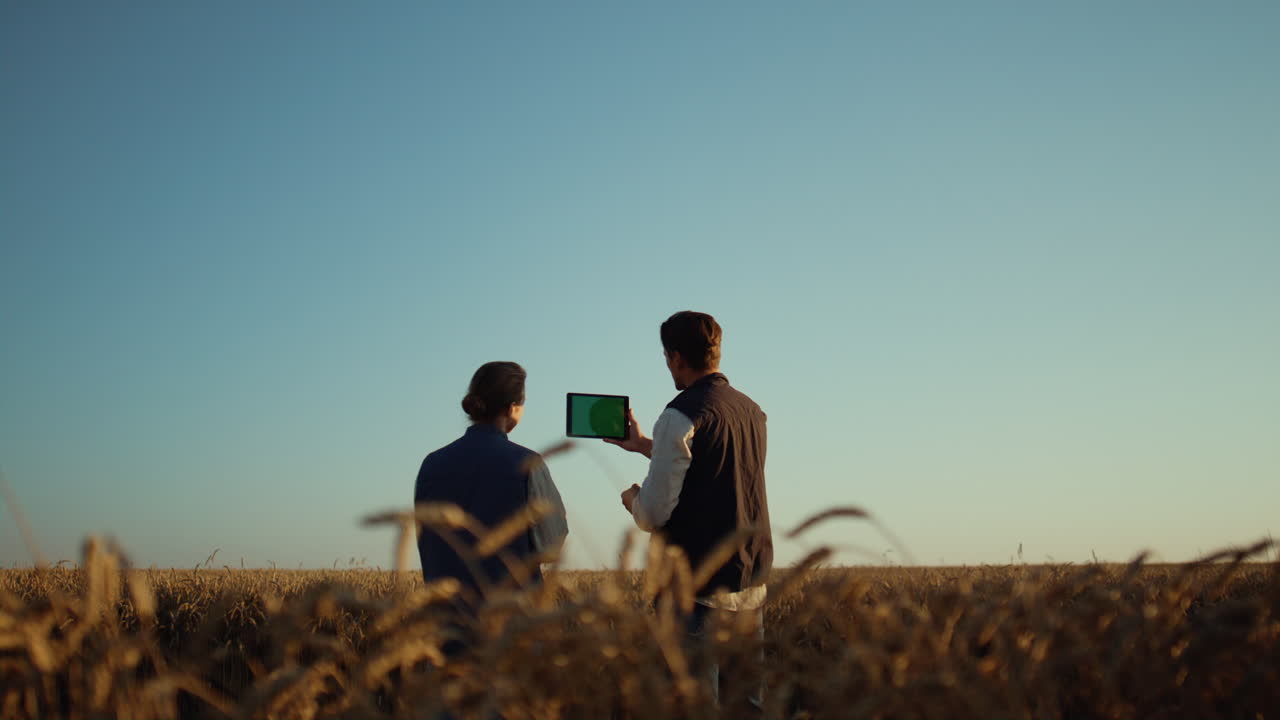 농부 들 은 패드 컴퓨터 로 밀  ⁇  을 작업 하고 있다. 농장 관리자 들 은 작물 을 점검 하고 있다