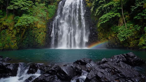 rainbow waterfall in a lush tropical forest