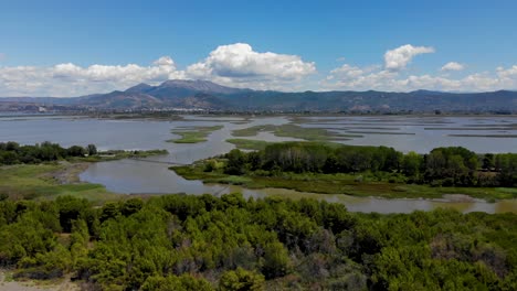 marshland with shallow water surrounded by reeds and trees on seaside of adriatic sea in albania