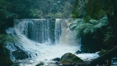 beautiful waterfall in tropical reainforest