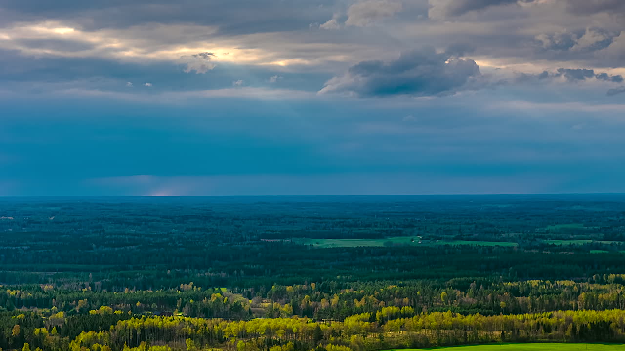 Timelapse showing sunset light over dense forest and spring green treetops
