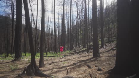 Mujer-Vestida-De-Rosa-Caminando-Lentamente-Por-Un-Bosque-Quemado