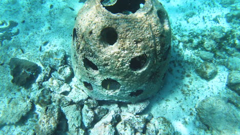 underwater shot of small fish swimming on the seabed in the hole of sunken pottery