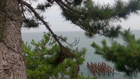 a trucking camera movement along green pine trees, metal pillars in the sea, and rocky cliffside ocean waves at the sea of japan in coastal busan, south korea