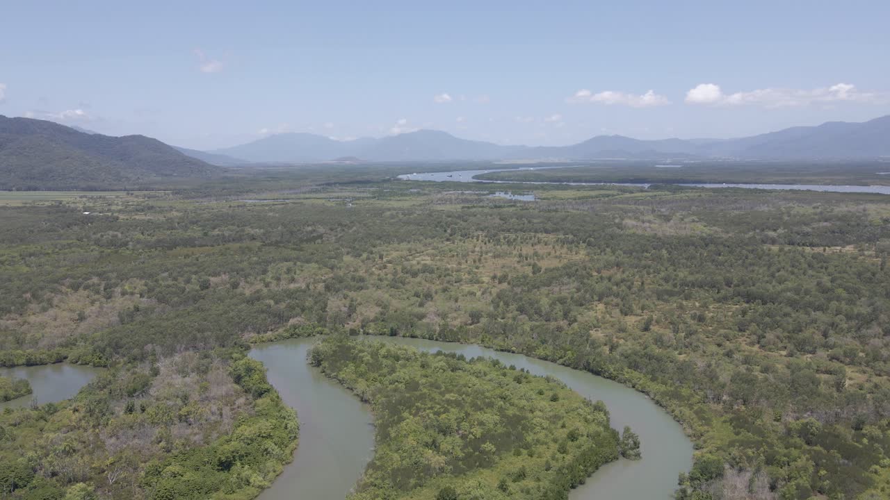 Riacho Sinuoso na Reserva Florestal Trinity - Queensland do Norte, Austrália