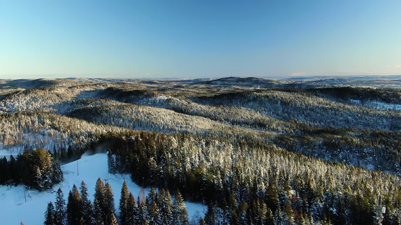Bortflygande flygfoto över horisonten med snötäckta berg och träd samt solnedgång