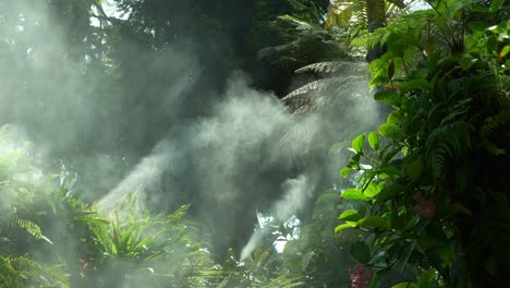 lush tropical rainforest scene with dense, vibrant green foliage, mist rising through the vegetation, illuminated by sunlight, creating a mystical and humid atmosphere