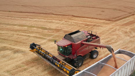 combine harvester loading grain truck in wheat field