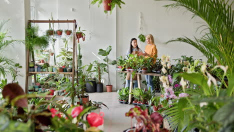 mujeres en una tienda de plantas