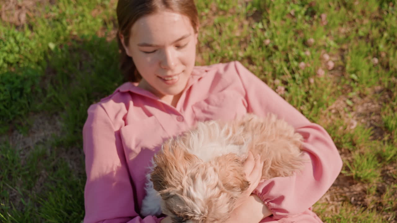 Young Artist Resting, Young Caucasian Woman With Puppy, Relaxed Young Woman In Pink Dress With Puppy In Field, Serene Young Artist Reclining On Grass Embraced By Her Gentle Puppy In Sunlight