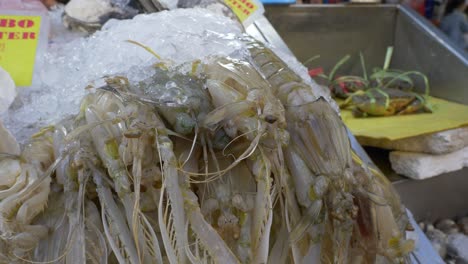 Dead-mantis-shrimp-in-ice-for-sale-at-Asian-Thailand-fish-seafood-market-restaurant