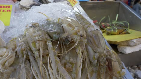 camarones mantis muertos en hielo para la venta en el restaurante del mercado de pescado y mariscos asiático de tailandia