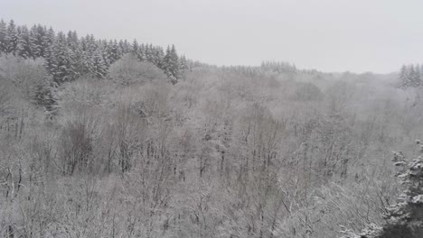 snowfall covers a jagged rock formation above a wintery forest, rocher de bilisse, aerial push