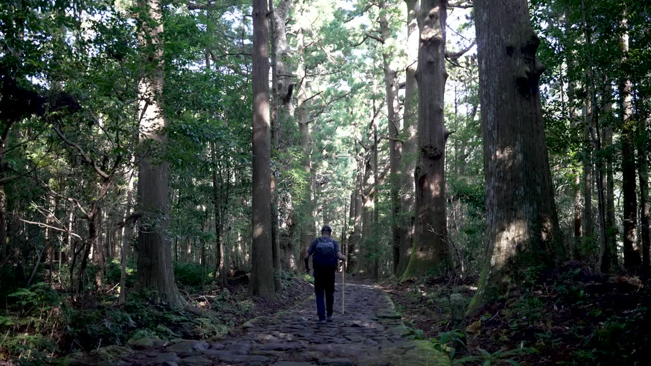 A hiker explores the Kumano Kodo trail through a serene, lush forest pathway.