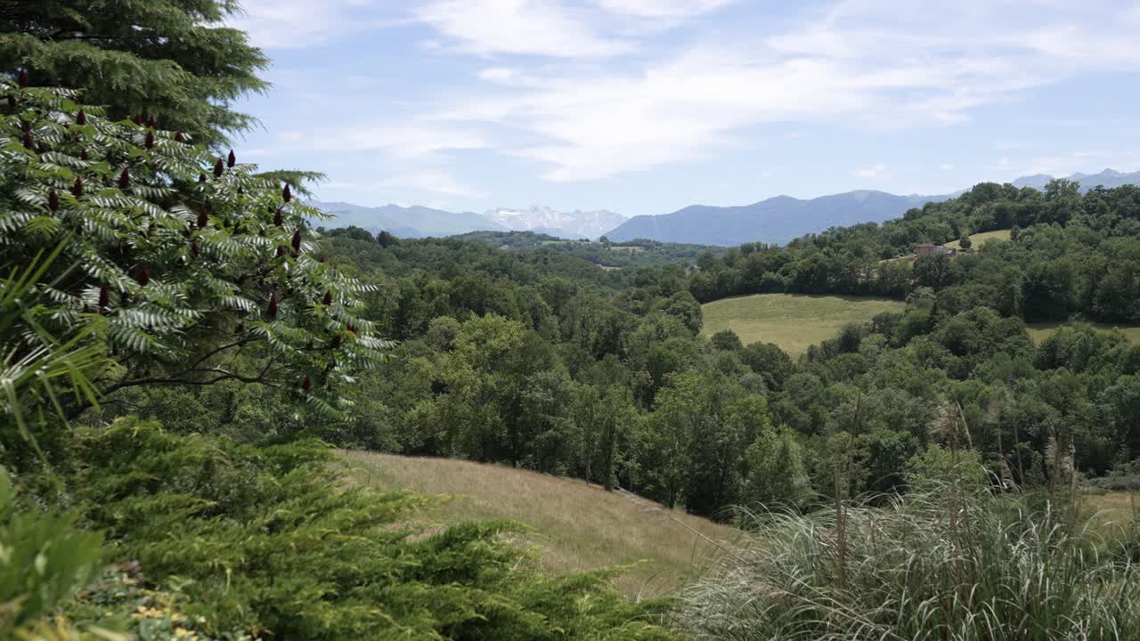 paisaje forestal de las colinas y prados de eaux bonnes en el oeste de francia, toma derecha de dolly