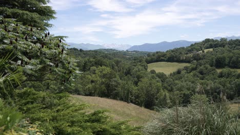 Forest-landscape-of-the-hills-and-meadows-of-Eaux-Bonnes-in-Western-France,-Dolly-right-shot