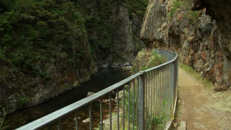 walking track with steel railing along river in gorge canyon, no people, new zealand