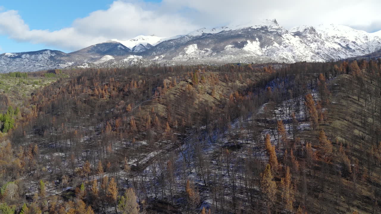 Aerial fly over burnt forest area with remaining snow in Andes mountains, Patagonia, Argentina