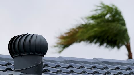 close-up of palm trees bending in strong winds above a metal rooftop with a spinning roof vent.