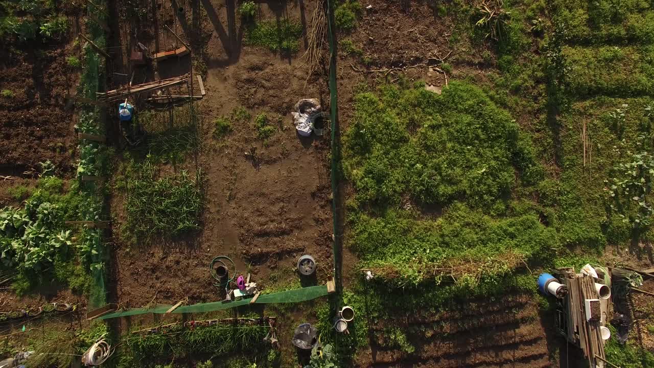 도시 평면도의 커뮤니티 정원 플롯