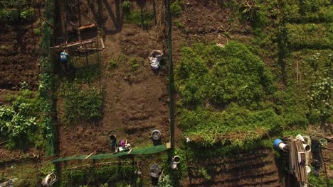 community garden plots in the city top view