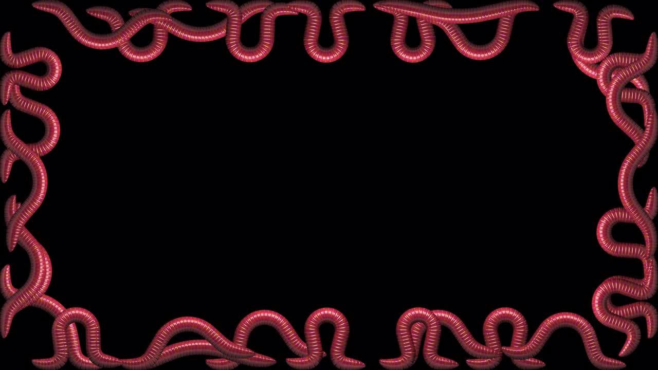 enjambre de gusanos sobre un fondo transparente, bucle sin costuras