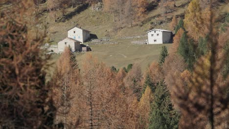 view through colorful forest to hill with three mountain huts