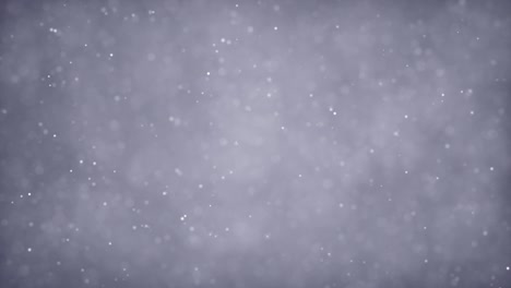 partículas grises negocio blanco brillante brillo bokeh polvo abstracto de fondo bucle stock video