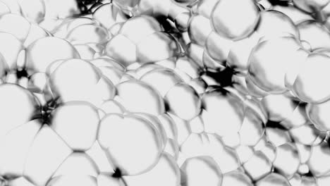 abstract white bubbles