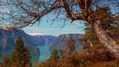 overview of scenic geirangerfjord between mountains with waterfalls in norway on a beautiful sunny morning in timelapse