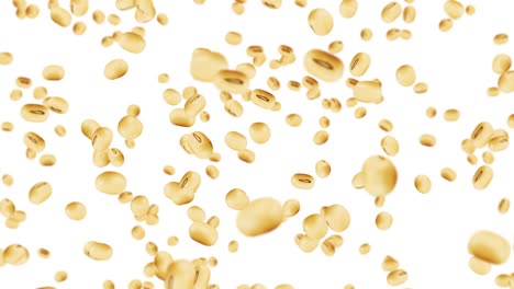 flying many soybeans on white background. light brown grains. soya bean and soja. healthy food. 3d loop animation of soy beans rotating.