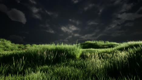 Nubes-De-Tormenta-Sobre-Pradera-Con-Hierba-Verde