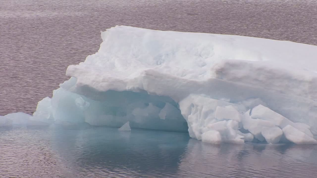 빙산은 북극의 따뜻한 물에 떠 있습니다.
