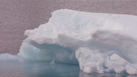 冰山漂浮在北極溫暖的水中