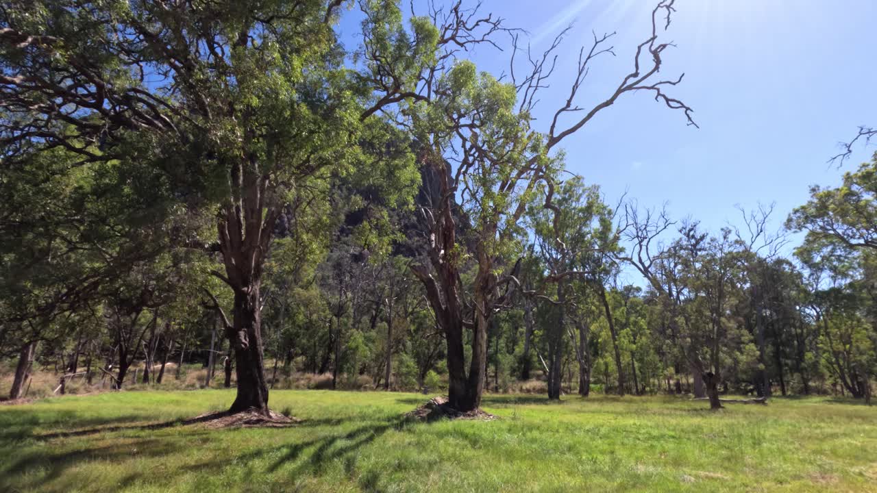 time-lapse de un parque con sombras y luces cambiantes
