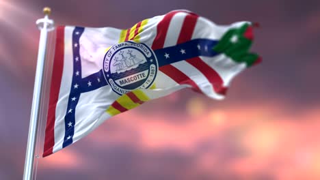 bandera de la ciudad de tampa, ciudad de los estados unidos de américa - bucle