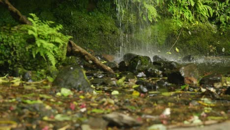 Tranquil-scene-of-water-at-the-base-of-a-gentle-New-Zealand-waterfall