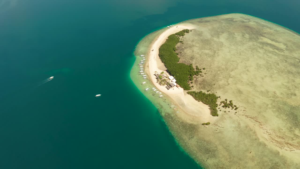 isla de las estrellas de mar, puerto princesa, palawan. tour de salto de isla en la bahía de honda, palawan