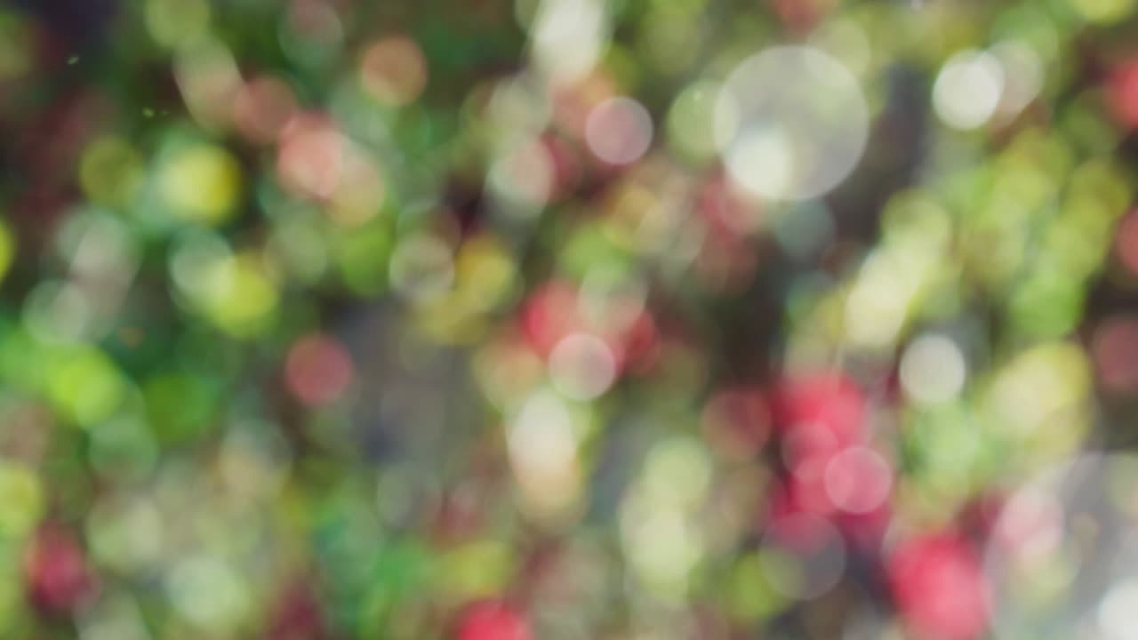 fondo de resorte abstracto con bokeh