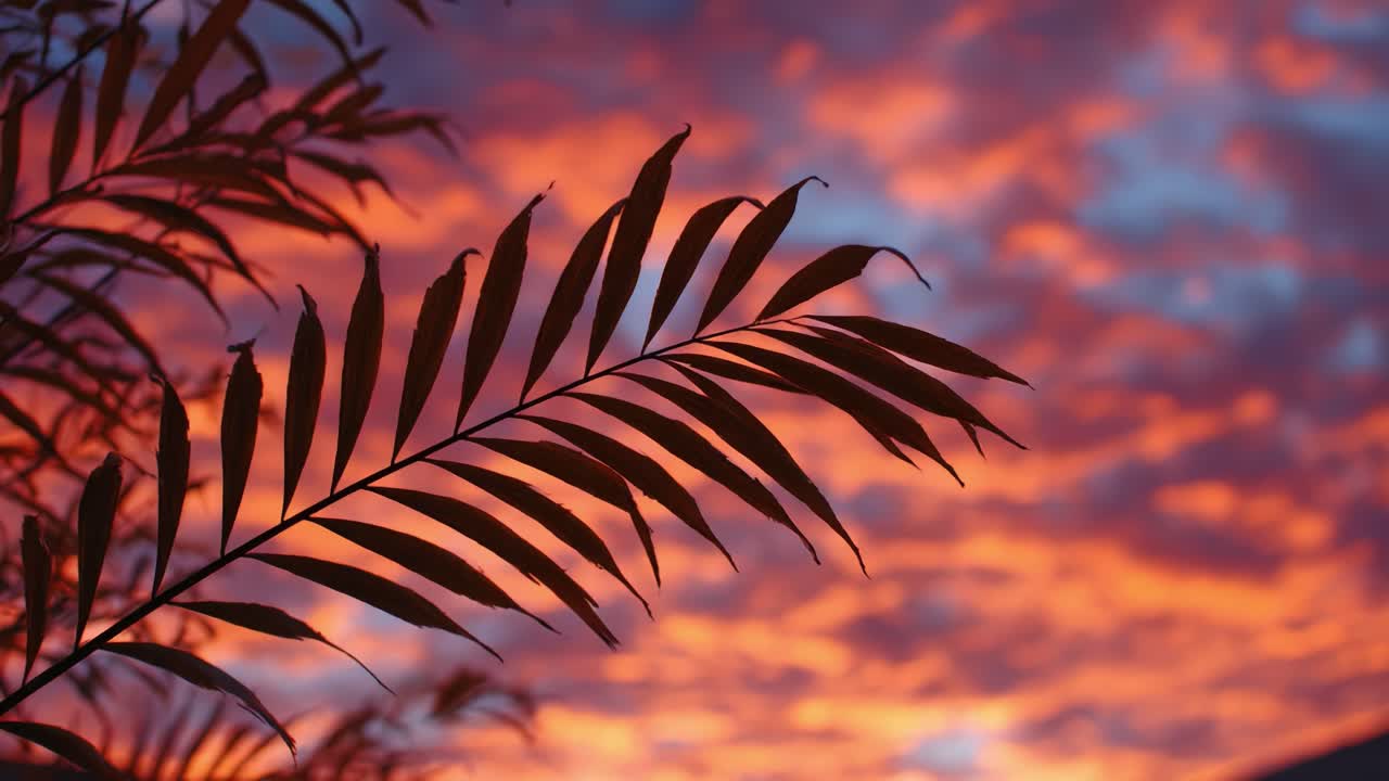 Silhouette of a Leafy Branch Against a Vibrant Sunset Sky Illuminated by Shades of Orange, Pink, and Blue, Creating a Stunning Nature Scene
