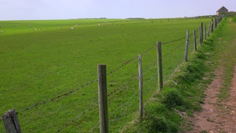 Die-Stadt-Kirkwall-Ist-Die-Hauptstadt-Der-Orkney-Inseln-In-Schottland-1