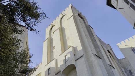 Torre-Hecha-De-Piedra-Arenisca-En-Francia-Cuando-Hace-Buen-Tiempo-Con-Un-árbol-En-Primer-Plano-Bajo-Un-Cielo-Azul-En-Una-Ciudad-De-Francia