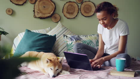 young woman working on laptop in bed with dog
