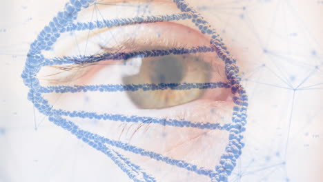 animación de la cadena de adn y la red de conexiones sobre el ojo