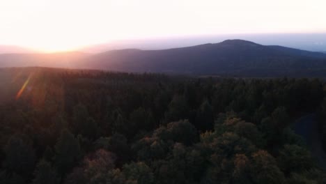 Fliegen-In-Richtung-Sonne-über-Wald