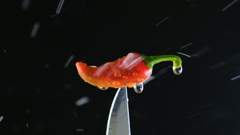 Rote-Chilischote-Auf-Einem-Messer-Auf-Schwarzem-Hintergrund-Und-Wassertropfen