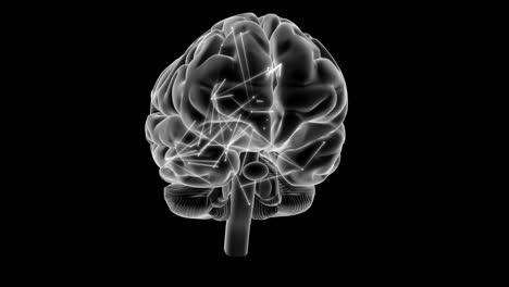 x-ray style brain with impulses, 360 rotation.