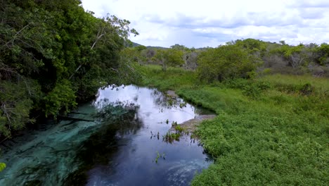 volando sobre un agua cristalina del río sucuri - bonito, mato grosso do sul - brasil