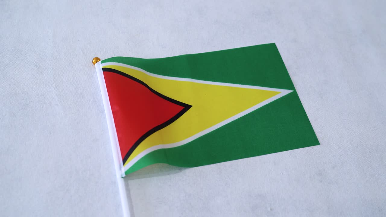 Bandiera della Repubblica Cooperativa della Guyana del Sud America. Sfondo bianco